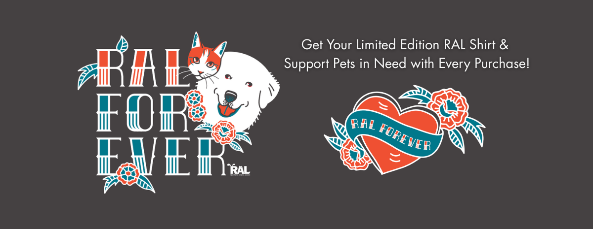 Limited Edition Shirt Sale